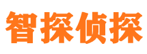 通江外遇调查取证